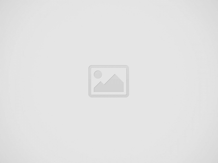 <strong>What is logo registration?</strong>